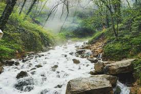 تور گردشگری و شکار در شمال کشور ایران
